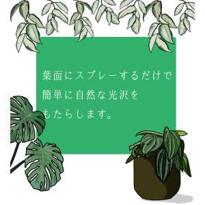クリザール リーフシャイン エアゾール 250...の詳細画像4
