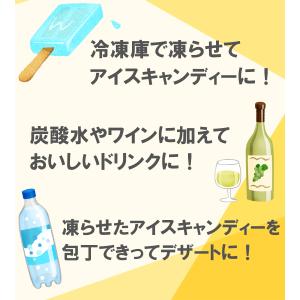 マルゴ食品 ポッキンフルーツ 8本入×16袋 ...の詳細画像2