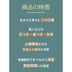 バイオゴールド オリジナル 天然有機肥料 5k...の詳細画像2