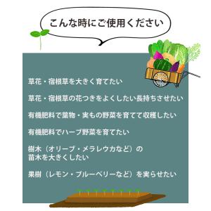 バイオゴールド オリジナル 天然有機肥料 5k...の詳細画像3