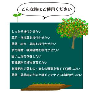 肥料 バイオゴールド クラシック 元肥 5kg...の詳細画像3