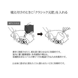 肥料 バイオゴールド クラシック 元肥 5kg...の詳細画像5