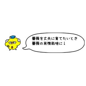 有機肥料 バラ バイオゴールド セレクション ...の詳細画像4