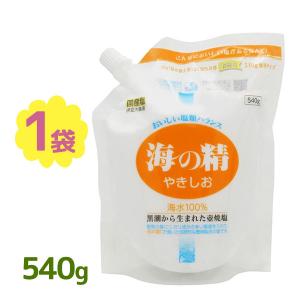 塩 国産 海の精 やきしお 540g スタンドパック 調味料 焼き塩 ソルト焼塩 やきじお さらさら 肉料理 ステーキ おにぎり｜select-mofu-y