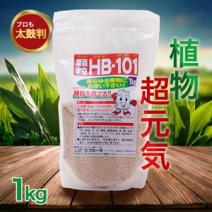 フローラ HB-101 顆粒 1kg ガーデニング DIY 植物エキス 観葉植物 園芸 家庭菜園 農業 野菜 果物 花 樹木 無農薬 天然 無農薬栽培 盆栽 バイオ｜select-mofu-y