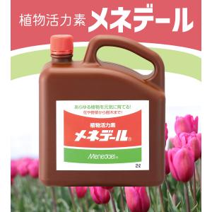 活力剤 肥料 植物活力素 メネデール 2L 植...の詳細画像1
