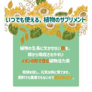 活力剤 肥料 植物活力素 メネデール 2L 植...の詳細画像2