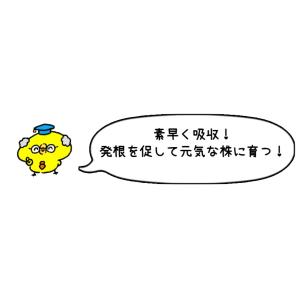 活力剤 肥料 植物活力素 メネデール 2L 植...の詳細画像3