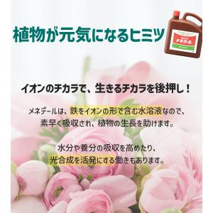 活力剤 肥料 植物活力素 メネデール 2L 植...の詳細画像4