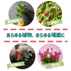 活力剤 肥料 植物活力素 メネデール 2L 植...の詳細画像5