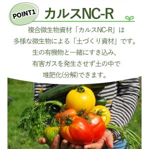土壌改良 カルスNC-R 10kg 粒状 落ち...の詳細画像2