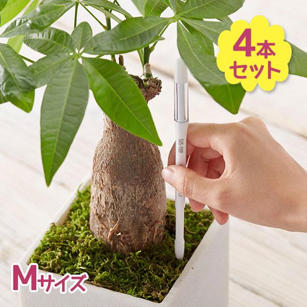 水分計 水やりチェッカー sustee シングルパック Mサイズ 4個セット ホワイト C-0012...