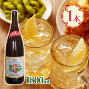 宮崎本店 焼酎用うめエキス 割梅 1000ml 爆買 : にっぽん津々浦々