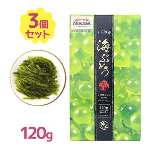 海ぶどう 塩水漬け タレ付 120g 3個セット 沖縄県産 シークワーサー たれ 美味しい 食品 自宅用 贈答用 おつまみ｜select-mofu-y