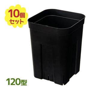 鉢 植木鉢 深鉢 プレステラ 深型 ブラック 120型 10個セット プランター 花 観葉植物 シック シンプル プラスチック｜select-mofu-y