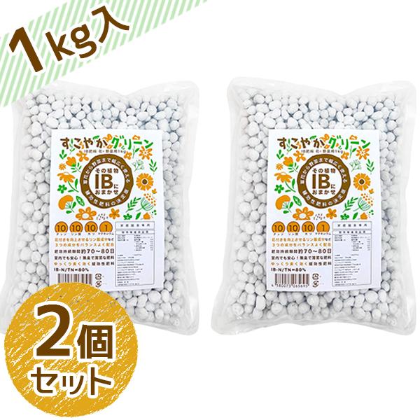 IB 化成肥料 大粒 顆粒 1kg×2個セット 花・野菜用 土壌改良 栄養剤 水稲 追肥 置き肥 元...