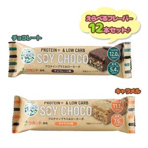 プロテイン プロテインバー SOY CHOCO ...の商品画像