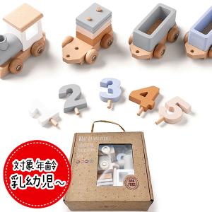 注意力と動きの予測をさせるトラッカー TAG社 TGSR3 知育玩具 0歳 1歳