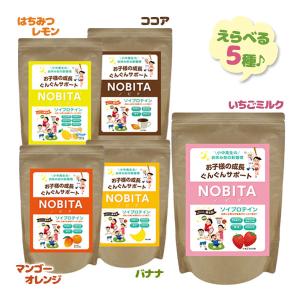 ノビタ NOBITA PRO プロ ソイプロテイン 味が選べる2袋セット