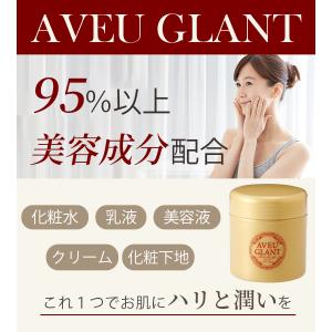 アブグラン オールインワンゲル B 230g×...の詳細画像1