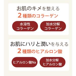 アブグラン オールインワンゲル B 230g×...の詳細画像2