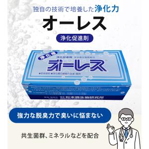 浄化槽促進剤 オーレス 浄化槽 20g×15袋...の詳細画像1