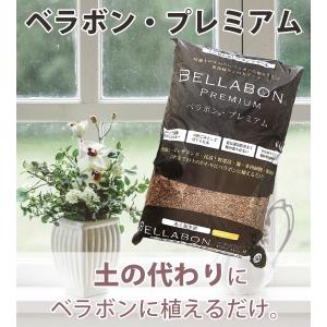 ベラボン プレミアム 50L 園芸 ガーデニン...の詳細画像1