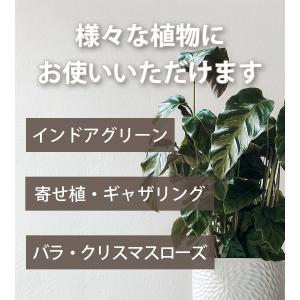 ベラボン プレミアム 50L 園芸 ガーデニン...の詳細画像3
