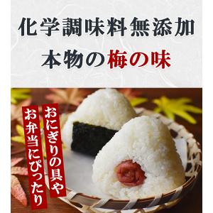 竹内農園 特栽梅干し お徳用 1kg 無添加 ...の詳細画像2