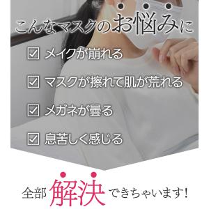バイオインターナショナル ノーズマスクピット ...の詳細画像2
