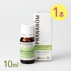 エッセンシャルオイル ティートゥリー 10ml プラナロム社 精油 100％天然 アロマ アロマテラピー ケモタイプ精油 アロマオイル リラックス｜select-mofu-y