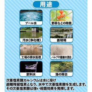 日曹ハイクロン ハイクロンQ 20g×100錠...の詳細画像2