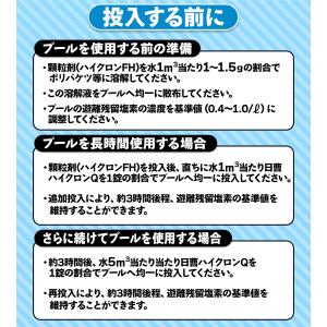 日曹ハイクロン ハイクロンQ 20g×100錠...の詳細画像4