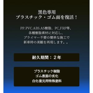 カー用品 車用品 ブラック スプレー メンテナ...の詳細画像2