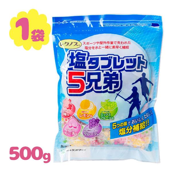 ランドアート 塩タブレット5兄弟 約185粒 500g 夏 対策 レクノス 塩分 暑さ対策 フェス ...