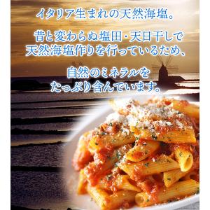 モティア 塩 サーレ・インテグラーレ・グロッソ...の詳細画像2