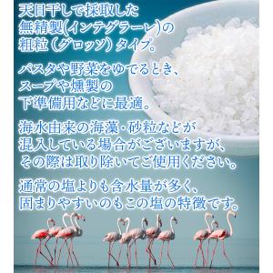 モティア 塩 サーレ・インテグラーレ・グロッソ...の詳細画像3