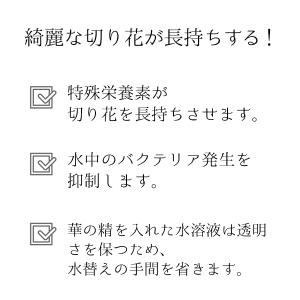 切り花活力剤 華の精 500ml 2個セット ...の詳細画像2
