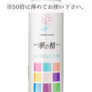切り花活力剤 華の精 500ml 2個セット ...の詳細画像3