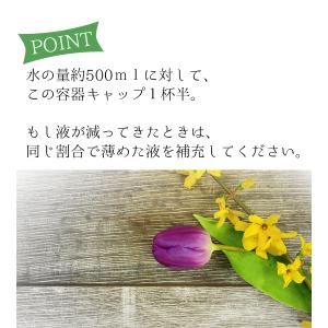 切り花活力剤 華の精 500ml 2個セット ...の詳細画像4