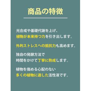 液体肥料 植物 活力剤 バイオゴールドバイタル...の詳細画像2
