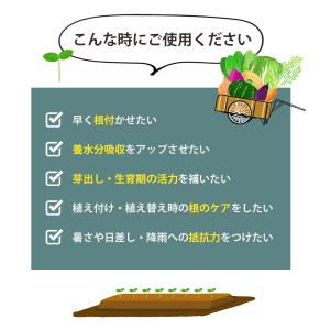 液体肥料 植物 活力剤 バイオゴールドバイタル...の詳細画像3