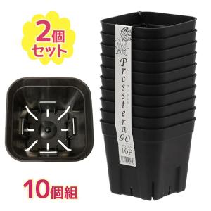 プレステラ 日本ポリ鉢 プレステラ90 ブラック 10個組 植木 ガーデニング 庭 サボテン 多肉 鉢上げ プラ鉢 植物｜select-mofu-y