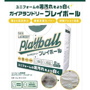 洗濯 洗剤 泥汚れ ガイアランドリープレイボー...の詳細画像1