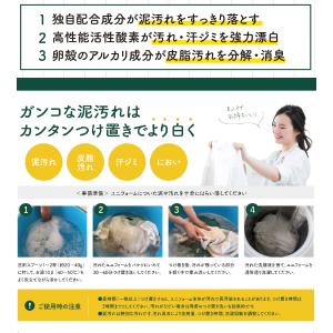 洗濯 洗剤 泥汚れ ガイアランドリープレイボー...の詳細画像2