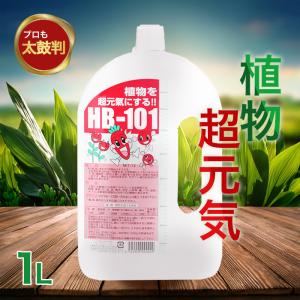 フローラ Flora 植物活力剤 1L HB-101 即効性 原液 花 栄養剤 安全 ガーデニング 園芸 農園 農業 農家 植物 野菜 無農薬栽培 有機栽培｜select-mofu-y