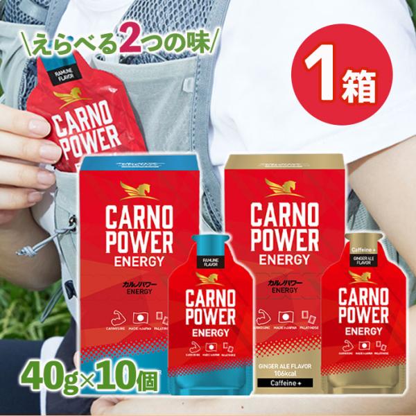 浜理薬品栄養科学 カルノパワーENERGY 10個入 ラムネ風味 ジンジャーエール風味 補給食