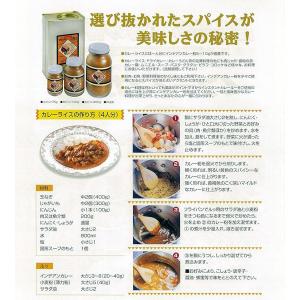 インデアン純カレー 160g カレー粉 調味料...の詳細画像3