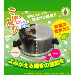 グリーンツリー関西 こげとりぱっとビカ 300...の詳細画像2