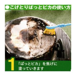 グリーンツリー関西 こげとりぱっとビカ 300...の詳細画像3